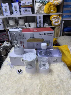 4 in 1 Electric Juicer