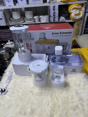 4 in 1 Electric Juicer