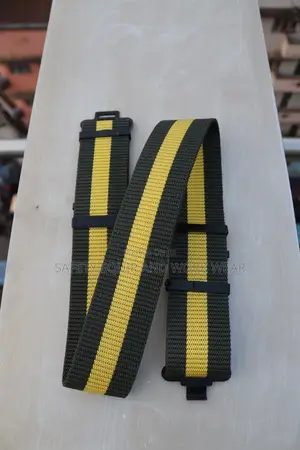 Security Belt