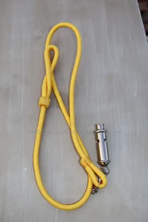 Security Lanyard