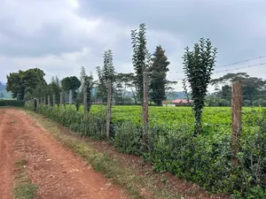 Limuru, Near Limuru Girls 1 Acre Land