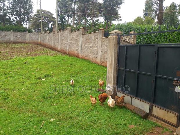 Plot for Sale in Ngong - thumbnail 4