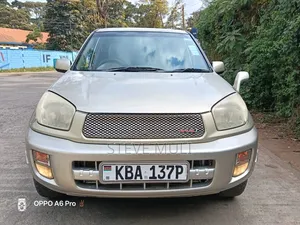 Toyota RAV4 2004 Gray