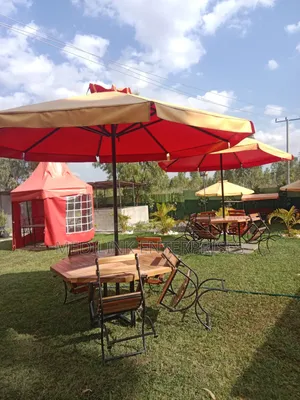 Modern 6 Seater Mantis Garden Outdoor Umbrella Shades