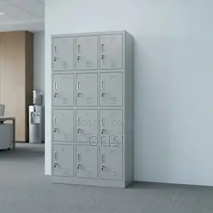Office Cabinet; Twelve Lockers Metallic Office Cabinet