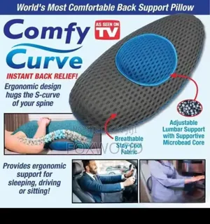 Comfy Curve Back Support Pillow.