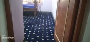 Warm Spongy House Wall to Wall Carpets