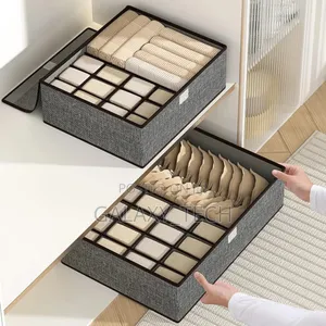 17 Grid Undergarment Organizer With Cover(3in1)