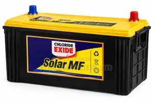 Chloride Exide Solar MF 100Ah Maintenance-Free Solar Battery