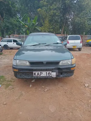Toyota Corolla 1996 Gray