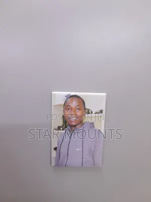 Fridge Magnets