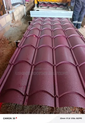 Ushindi Romantile Profile