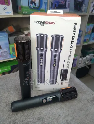 Dual Wireless Microphone