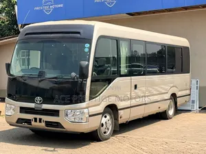 Toyota Coaster 2019 Brown