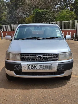 Toyota Probox 2002 Silver