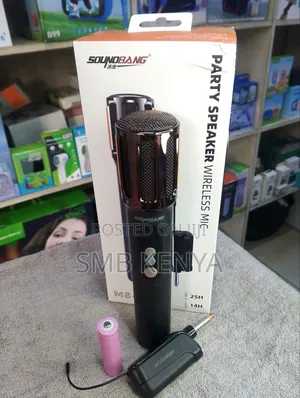 Professional Wireless Microphone With Receiver