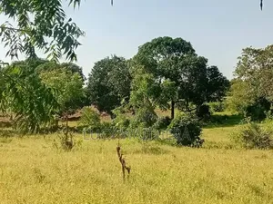 1acre of Land