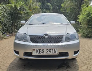 Toyota Corolla Fielder 2006 Silver