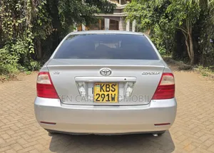 Toyota Corolla Fielder 2006 Silver