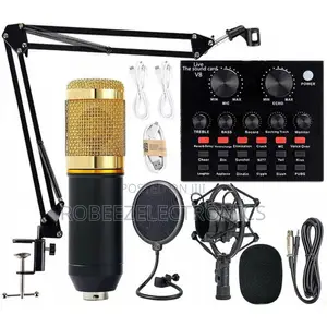 BM800 Professional Condenser Microphone With V8 Sound Card (Black)