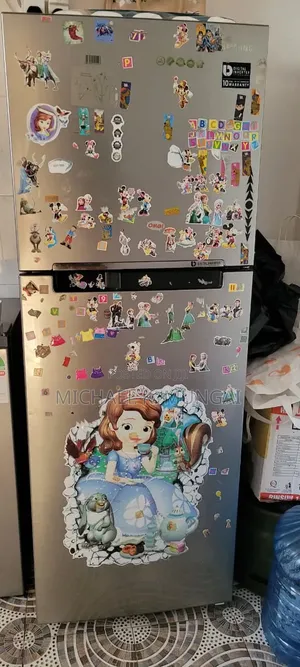 Samsung Fridge