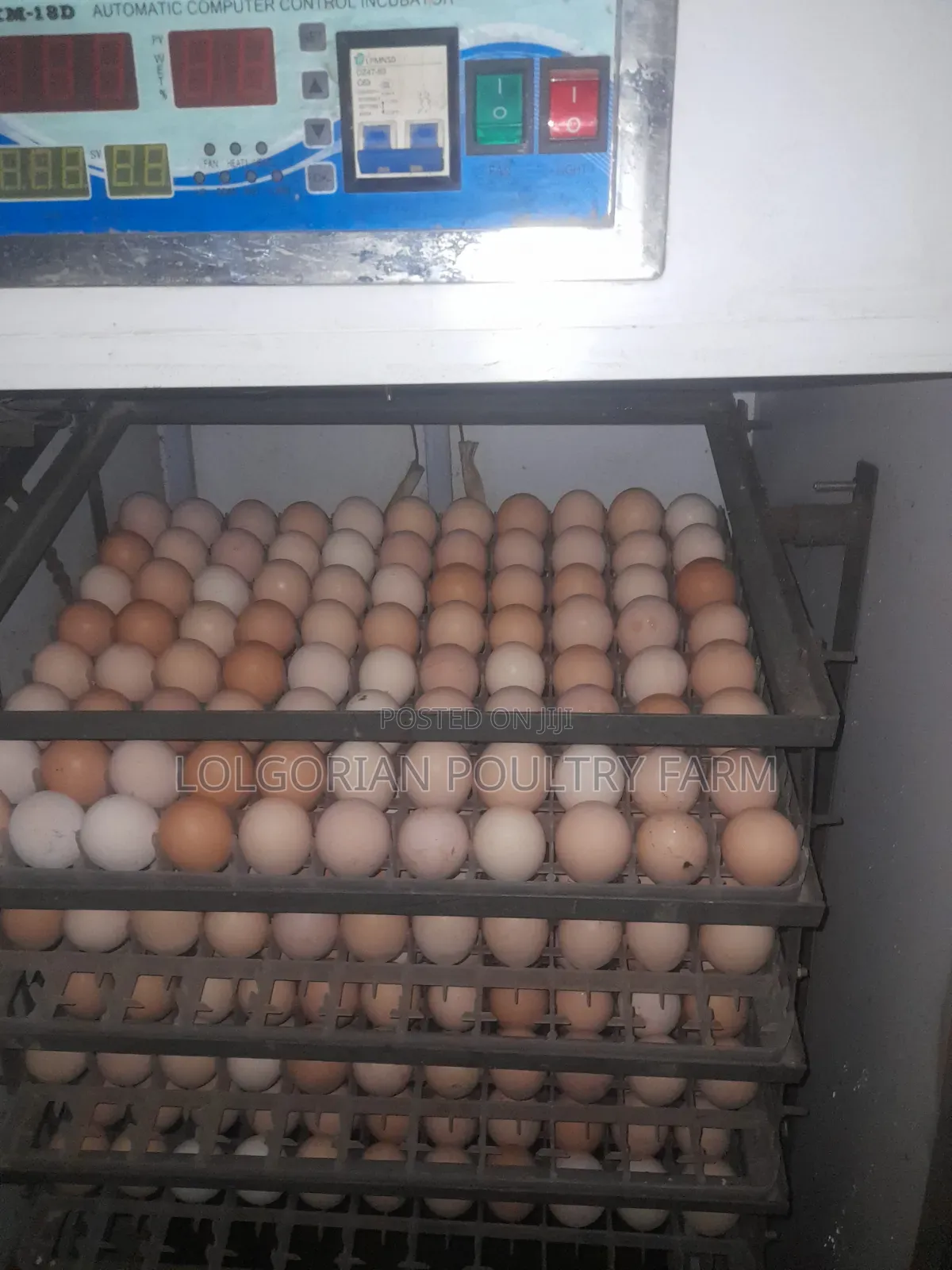 Lolgorian Poultry Farm.