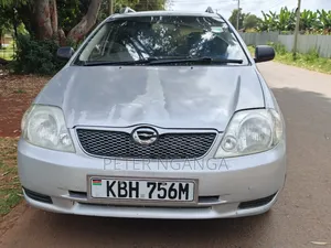 Toyota Corolla Fielder 2003 Silver