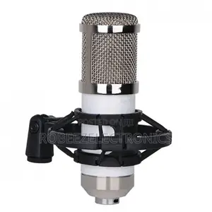 BM-800 Condenser Recording Microphone With Shock Mount - White