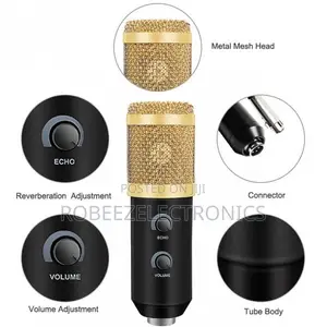 BM-100 USB Condenser Recording Microphone