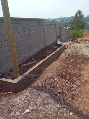 50*100 Plots