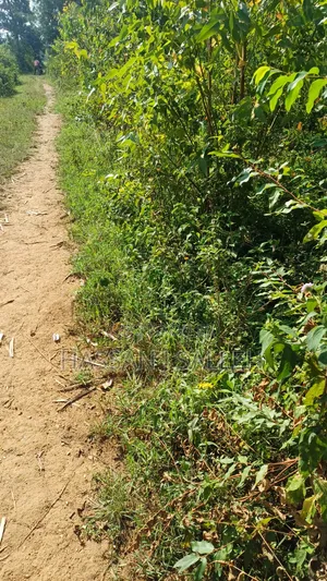 1acre Marama Shinamwenyuli.