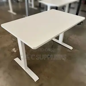 Sit Stand Electric Table