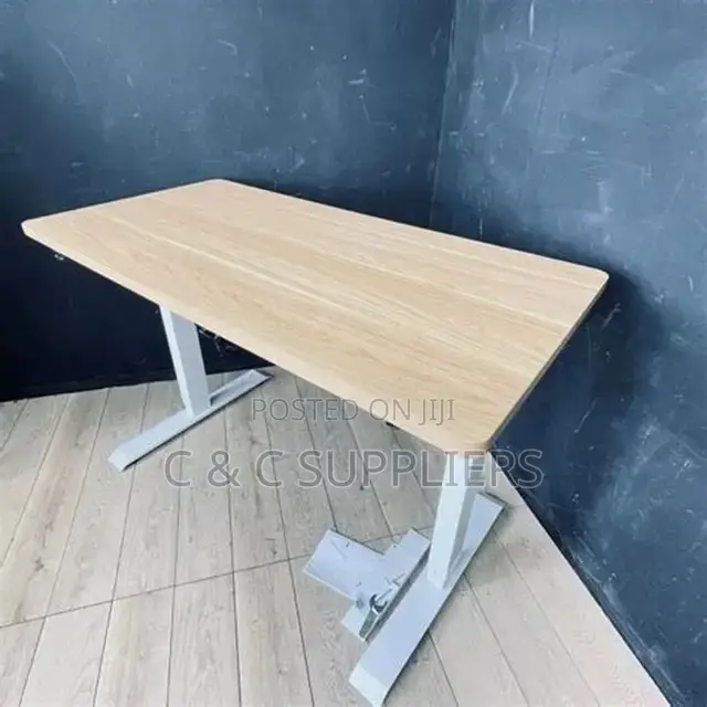 Sit Stand Electric Table