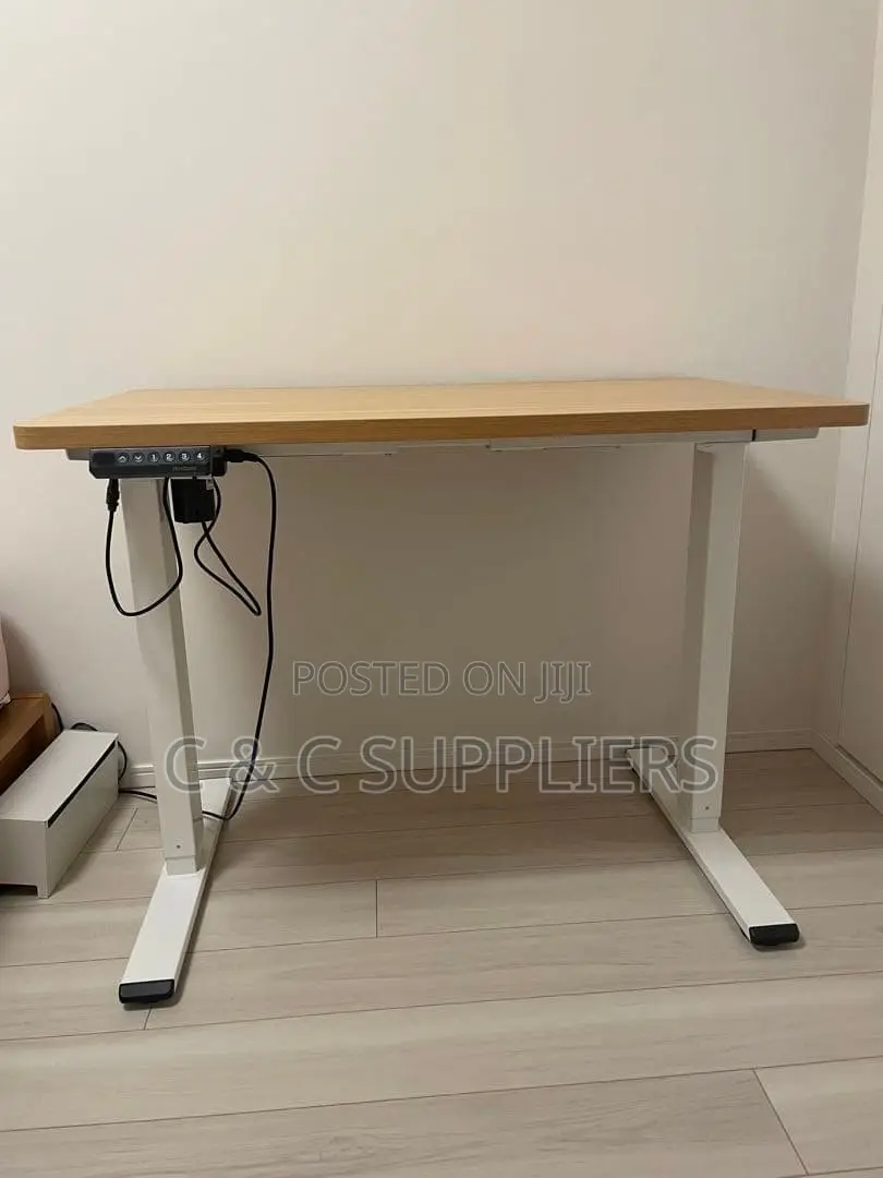 Sit Stand Electric Table