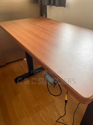 Sit Stand Electric Table