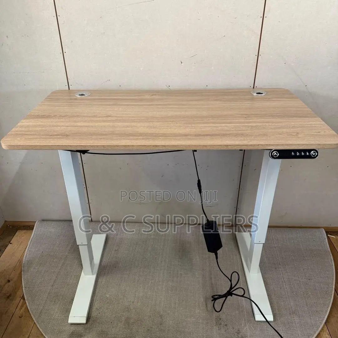 Sit Stand Electric Table