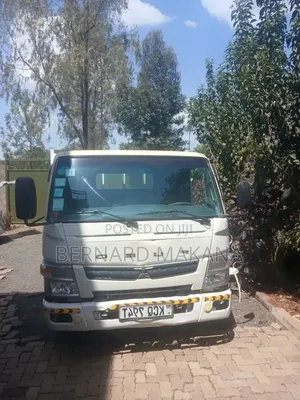 Truck Mitsubishi 2013 White