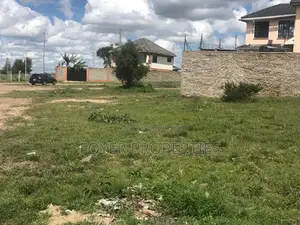 Prime Plots in Kitengela