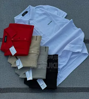 Color Tshirts for Men