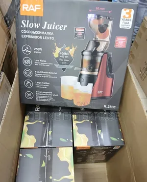 Raf Slow Juicer