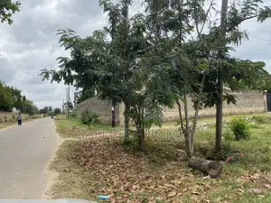 Quarter Acre Plot for Sale in Shanzu