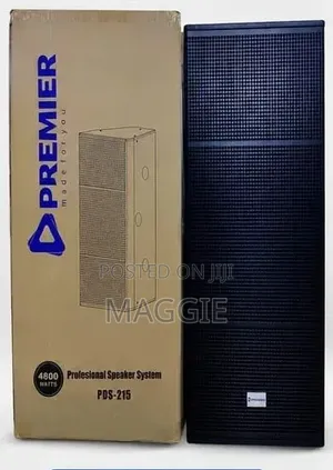 15" Double Professional Speaker System 4800w