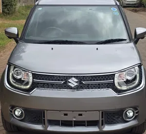 Suzuki Ignis 2019 Gray