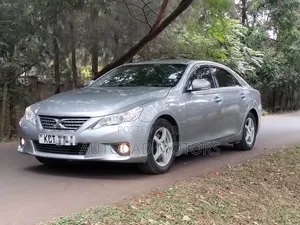 Toyota Mark X 2011 Silver