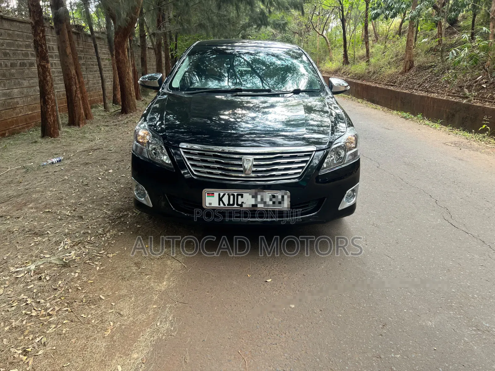Toyota Premio 2013 Black