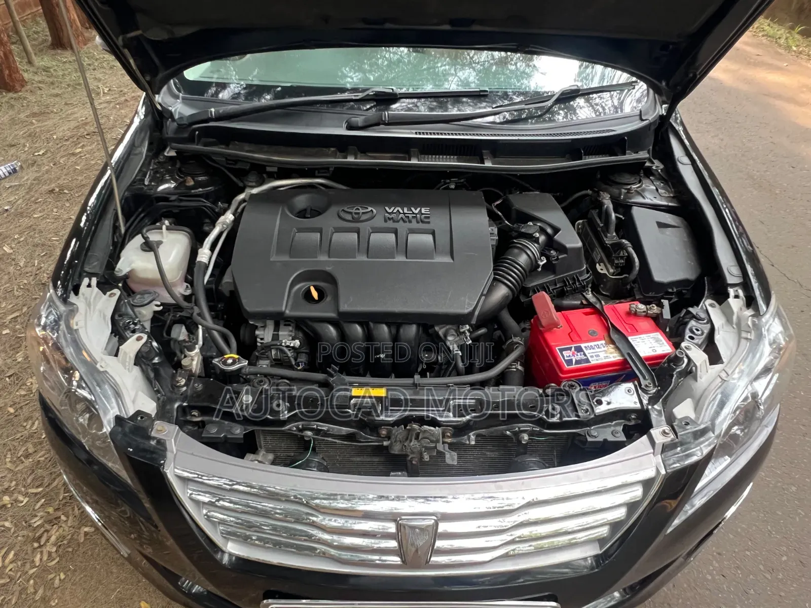 Toyota Premio 2013 Black