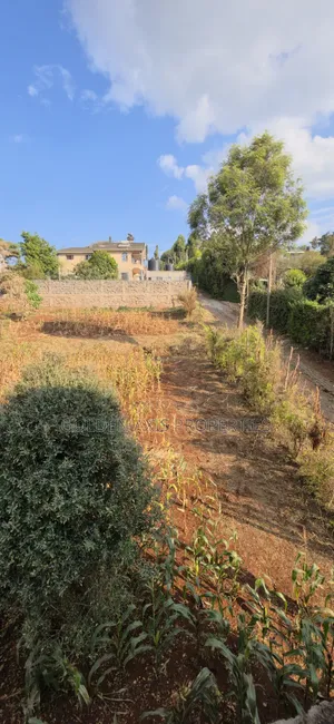 Plot for Sale in Ngong Kibiko