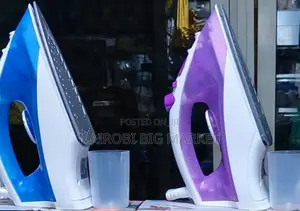 New Model Raf Steam Iron Box