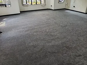 Grey Wall to Wall Floor Carpets Installation
