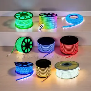 100M Bright Illumination LED Snake Lights Strip Lights Wholesale Price